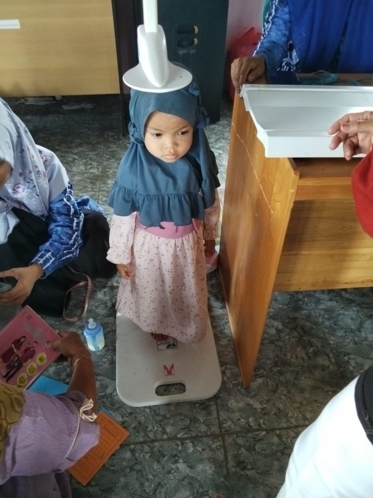 POSYANDU ILP BULAN SEPTEMBER 2026 DESA PARARAIN